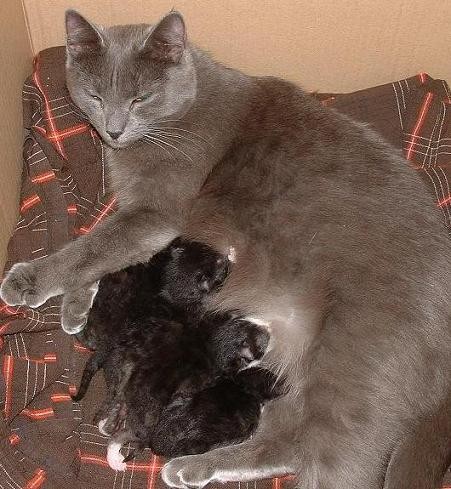 Не переживай очень, все будет хорошо