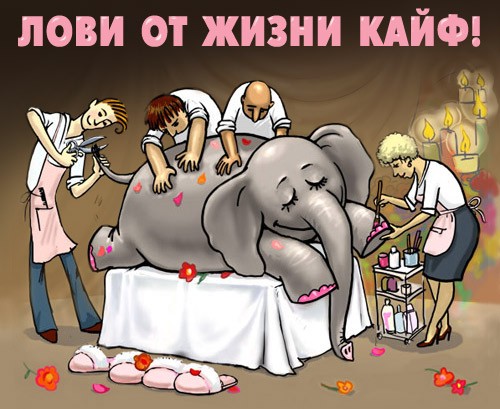 Натусь