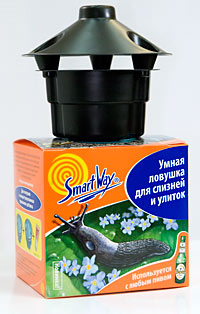 л
