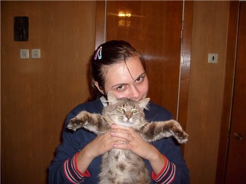 У нас с мужем никакой живности нет, авот у родителей, котоыре живут с нами в одном доме, есть котик - 2