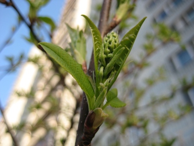 Привет, девули - 5