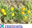 , у меня мама по необходимости стала принимать кальций в таблетках - 4