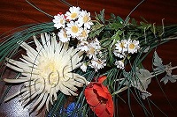 хризантема из пекинской капусты