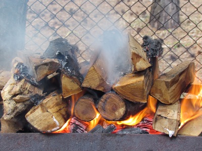 Что выбрать – дрова или уголь для мангала?
