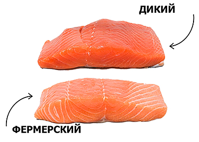 Рыба и морепродукты