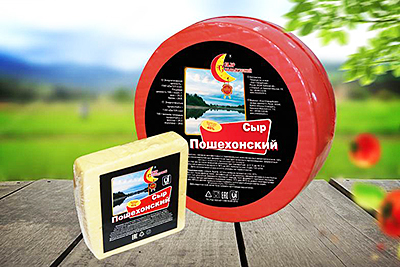 Сыр пошехонский: особенности сорта и производства