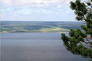  - milovidova