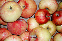 подборка яблочных рецептов