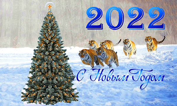 открытка Новый год 2018