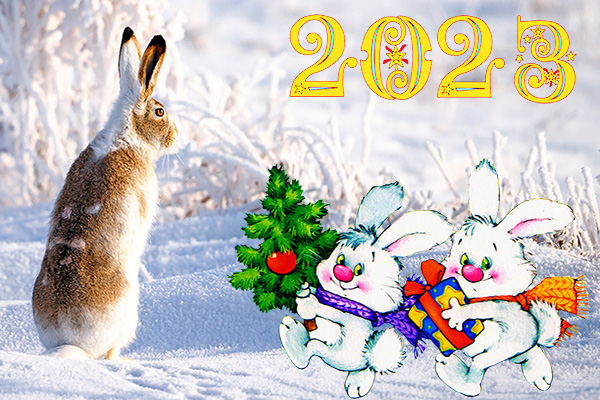 открытка Новый год 2018