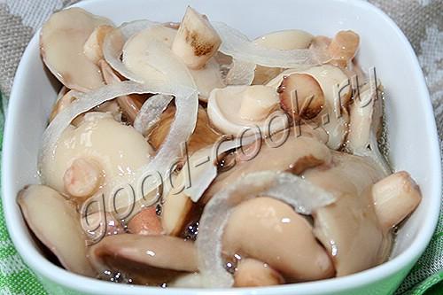 соленые грибы (горячий способ)
