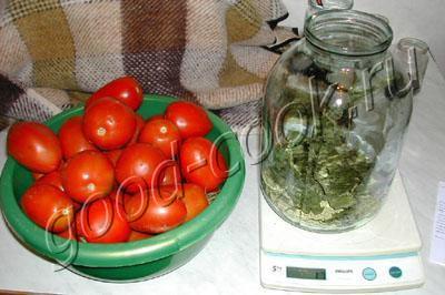соленые помидоры с горчицей