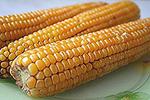 запеченные початки кукурузы