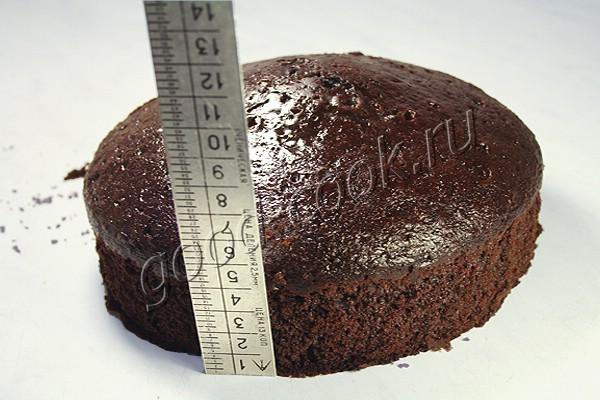 шоколадный торт с шоколадным кремом