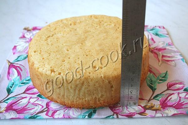 полубисквитное тесто на масляной заварке