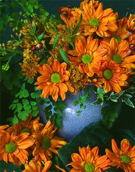 http://www.good-cook.ru/i/big/4/5/45d548f92d831fbb9d869383ad05e514.jpg