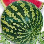 Арбуз (watermelon, water-melon)