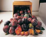 Слива (plum)