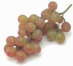  (grapes, table grapes)